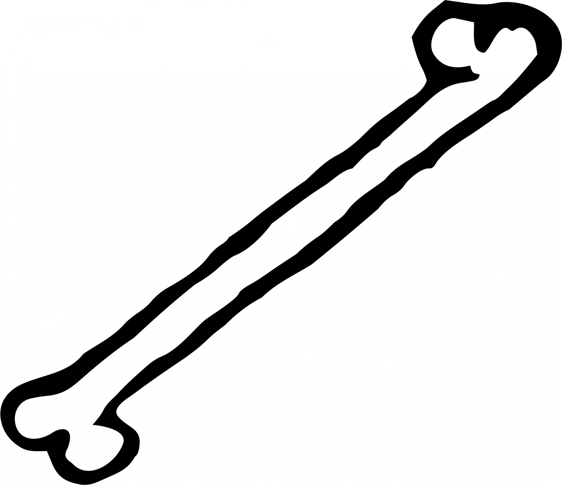 1920x1658 Bones Clipart Human Bone