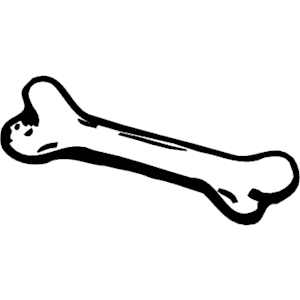 300x300 Clipart Of A Bone Collection