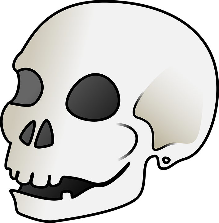 707x720 Skull Bone Clipart, Explore Pictures