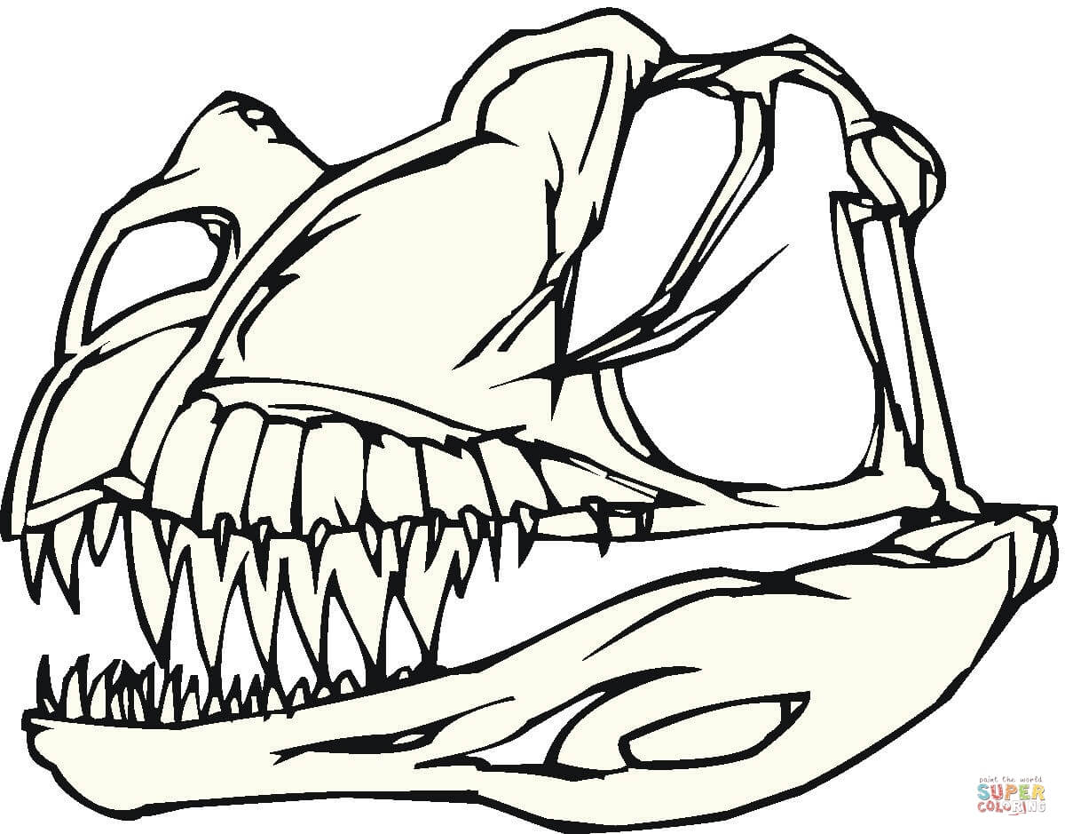 1200x939 Coloring Bones Coloring Pages