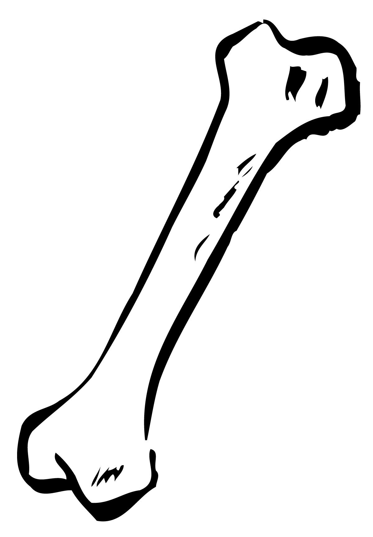 1200x1728 Long Clipart Dog Bone