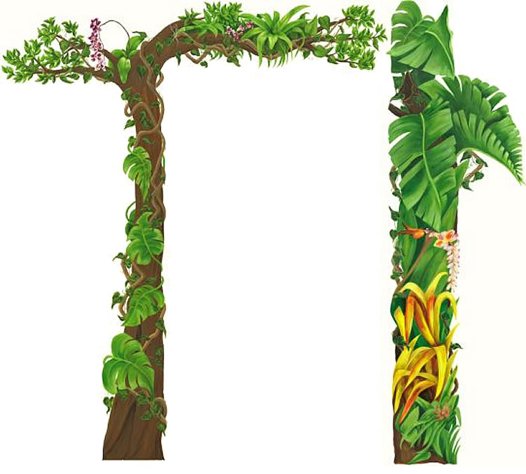 750x675 Foliage Clipart Jungle Border