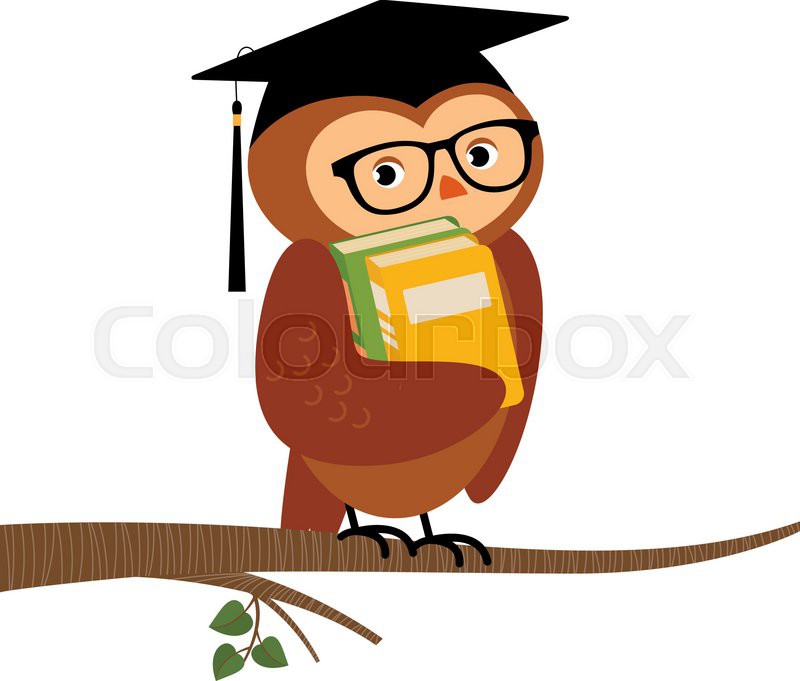 800x681 Stock Vector Cartoon Illustration Of Academic Owl Holding A Book