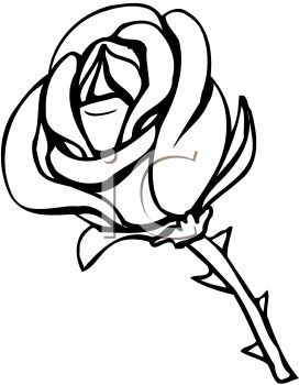 272x350 Flower Black And White Clipart