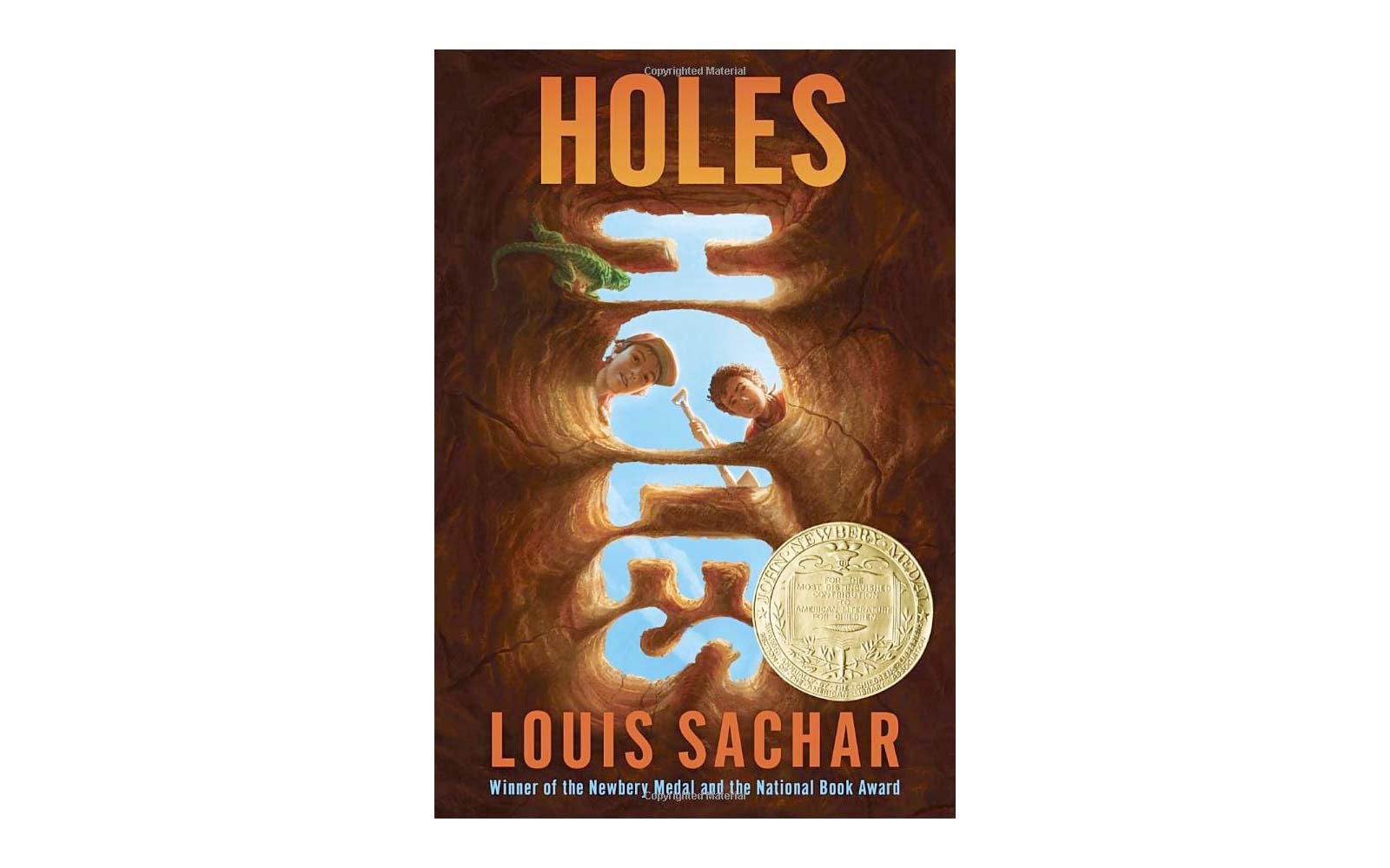 Holes book