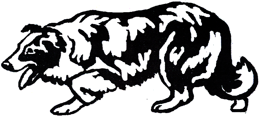 851x384 Border Collie Clip Art