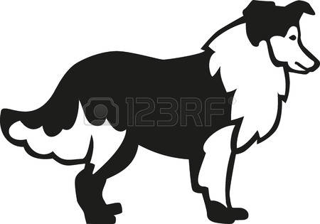 450x315 Border Collie Clipart