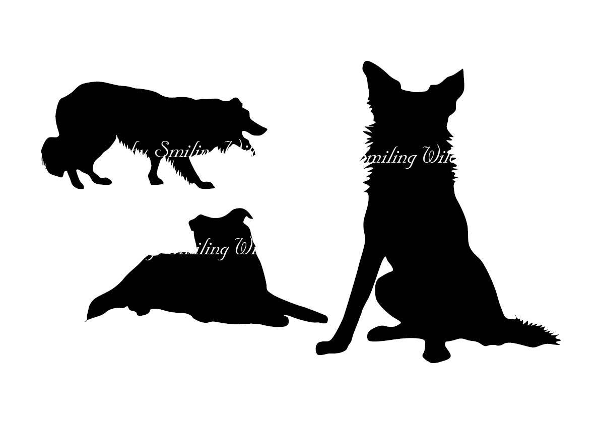 1191x842 Border Collie Svg Border Colly Silhouette Cliart Puppy Clip Art