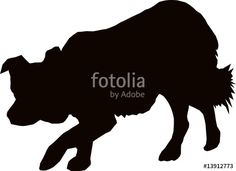 236x171 Border Collie Clip Art