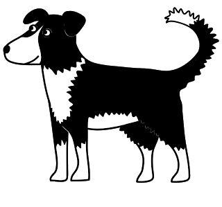 320x299 Nic Squirrell Border Collie Sketch