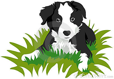 400x275 Bearded Collie Clipart Animated