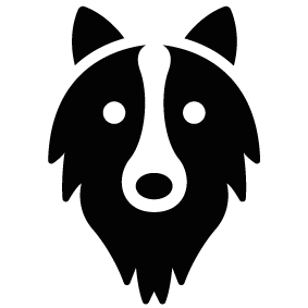 283x283 Border Collie Head Silhouette Silhouette Of Border Collie Head