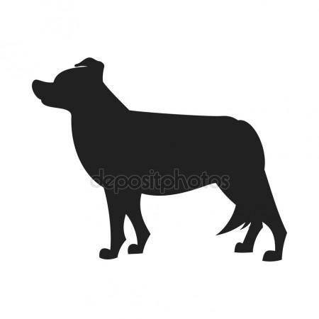450x450 Border Collie Icon Stock Vectors, Royalty Free Border Collie Icon