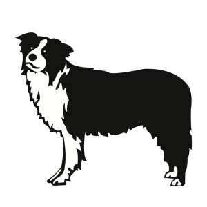 300x300 Free Svg File Download Border Collie Dog Cricut Svg Dogs