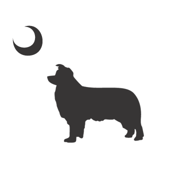 360x360 Animal Decals Animal Collection