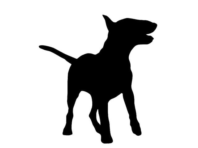 640x479 Quiz Can You Identify The Dog Breed By Its Silhouette