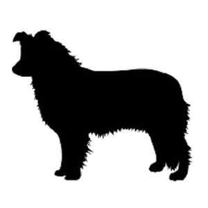 300x300 Wolf Black And White Clipart