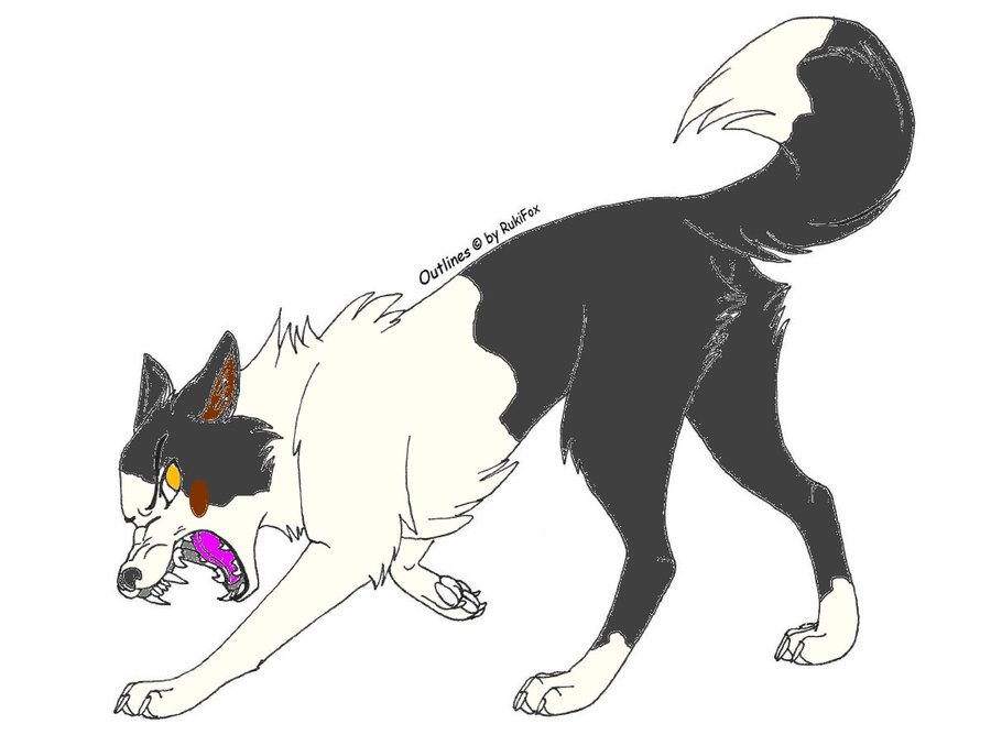 900x668 Anime Collie By Jessiecom