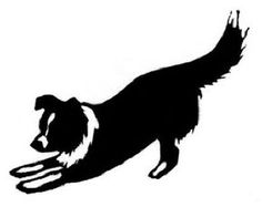 236x187 Border Collie Silhouette Tattoos