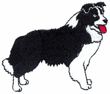 350x300 Bearded Collie Clipart Animated