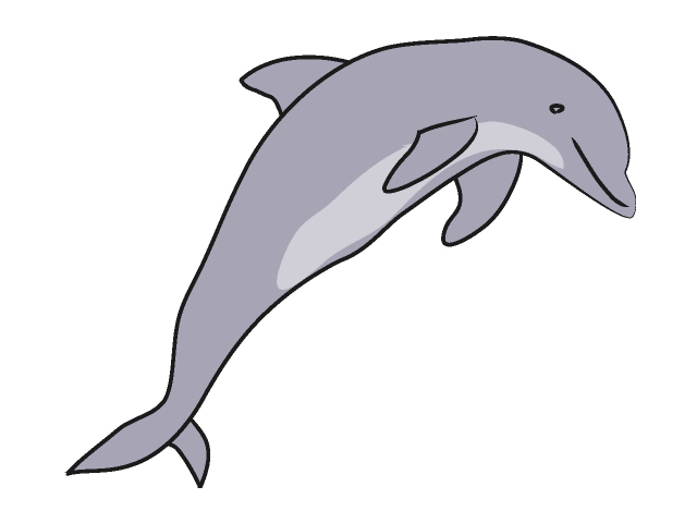 640x480 Bottlenose Dolphin Clipart
