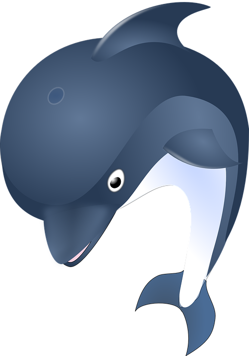 505x720 Bottlenose Dolphin Clipart Ocean Animal
