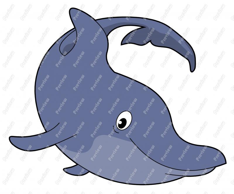 800x662 Bottlenose Dolphin Character Clip Art