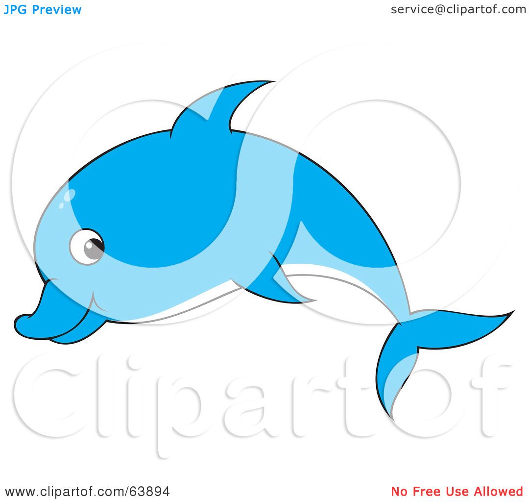 1080x1024 Bottlenose Dolphin Clipart Blue Dolphin