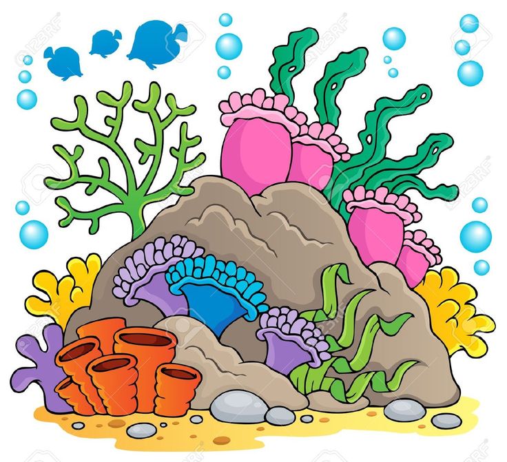 736x671 Coral Clipart Sea Bottom