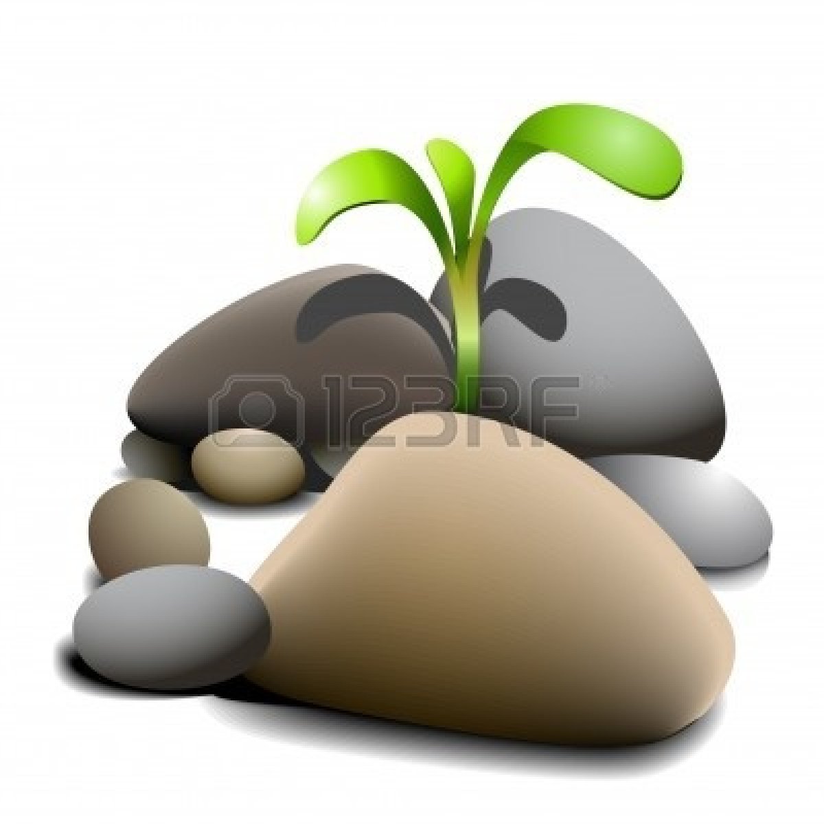1200x1200 Boulder Clipart Aquarium Stone