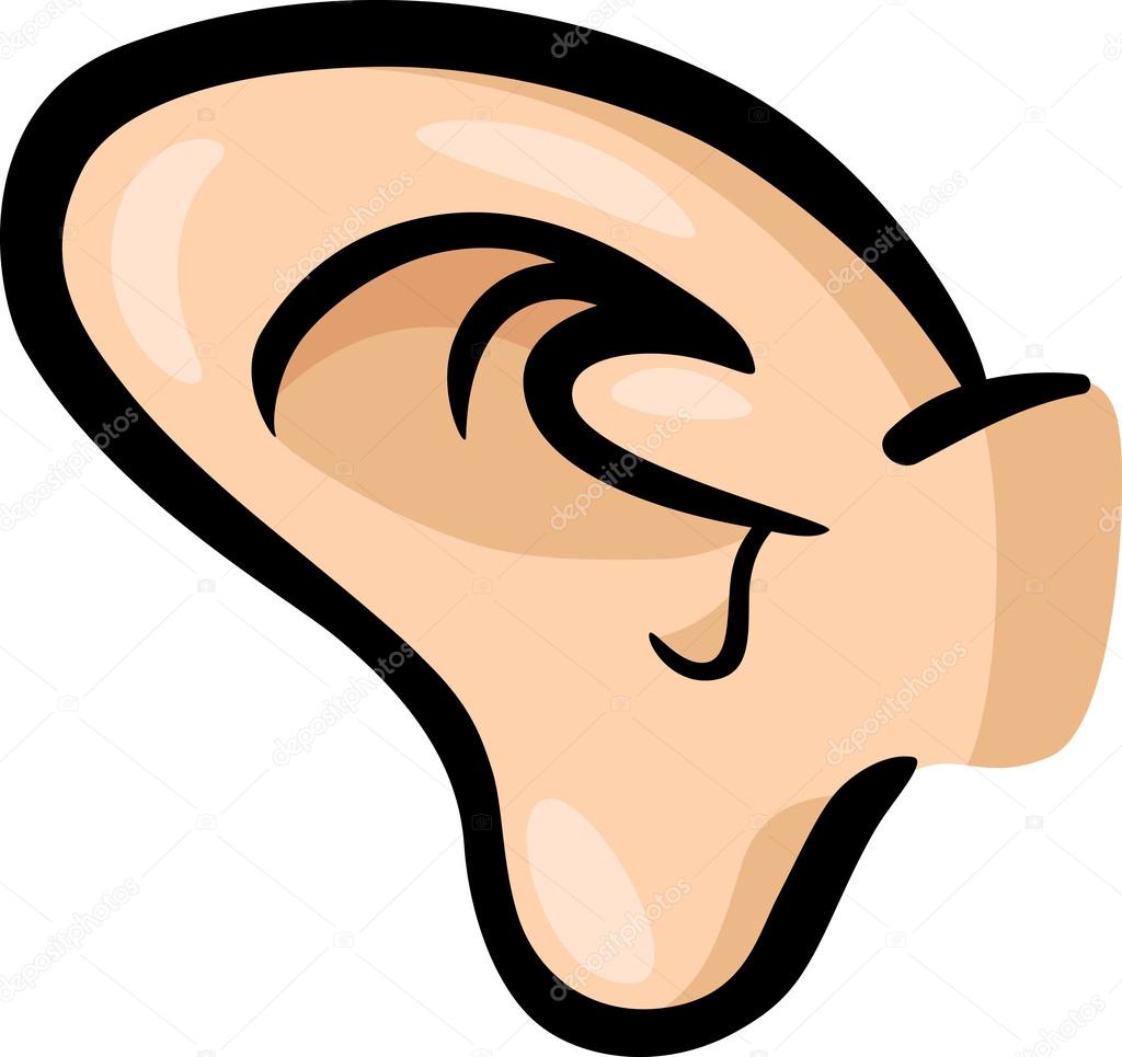 1024x965 Ear Clip Art Cartoon Illustration Stock Vector Izakowski