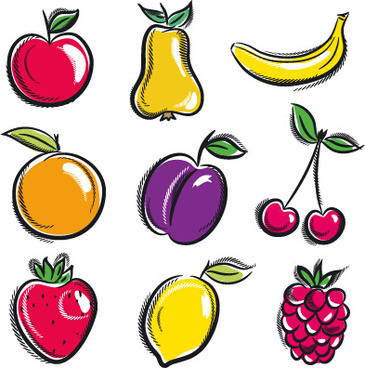 365x368 Fruit Bowl Drawing Free Vector Download (91,070 Free Vector)