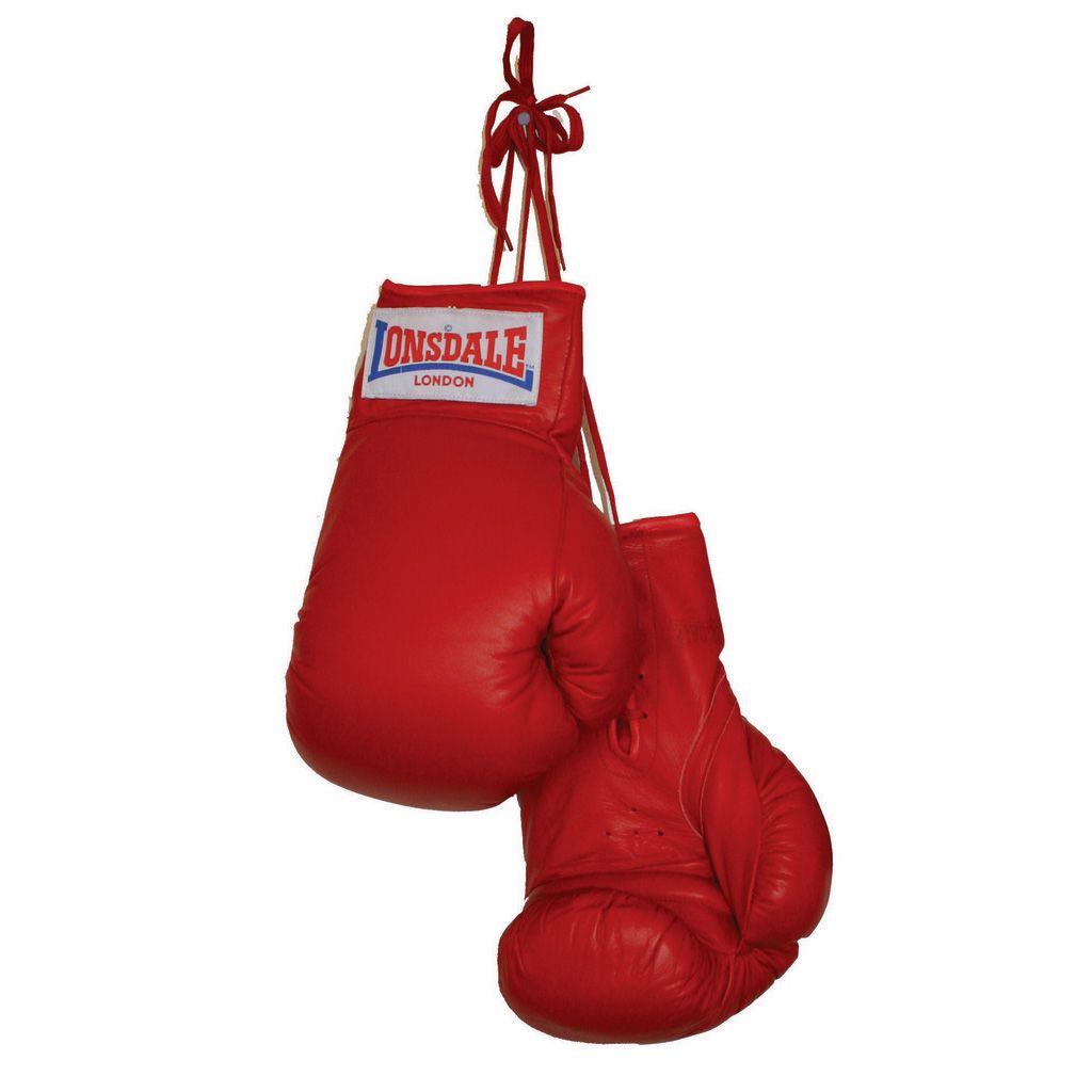 1024x1024 Boxing Gloves Clipart
