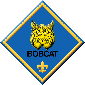 300x300 Cub Scouting Advancement Heart Of America Council Boy Scouts