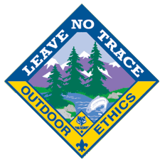 225x225 Other Awards Scouts Can Earn