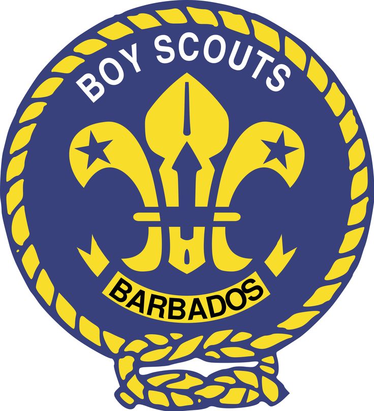 736x809 30 Best Scout Emblems Images Badges, Branches