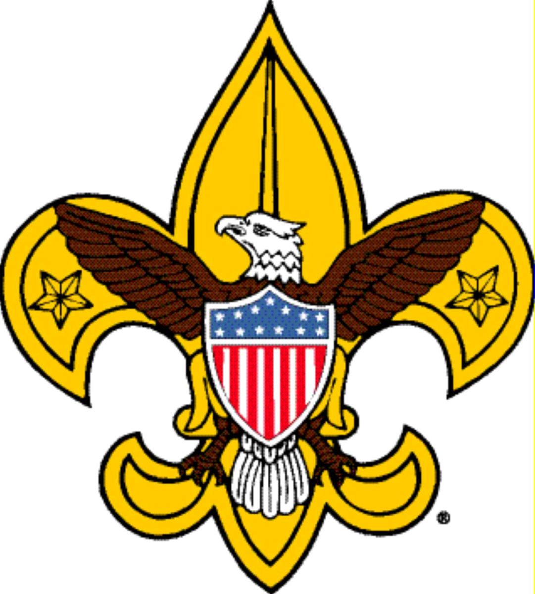 1081x1200 Boy Scouts Clipart Fleur
