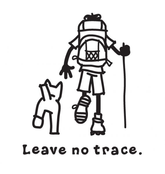 570x601 433 Best Boy Scouts Of America Amp Girl Scouts Usa Images