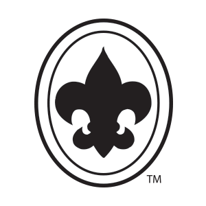 300x300 Hpi Emblem Gt Products Gt Boy Scout