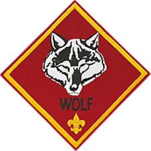 500x500 Public Cub Scout Ranks