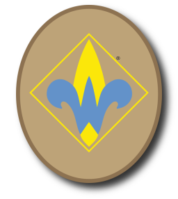 256x286 Webelos Scout