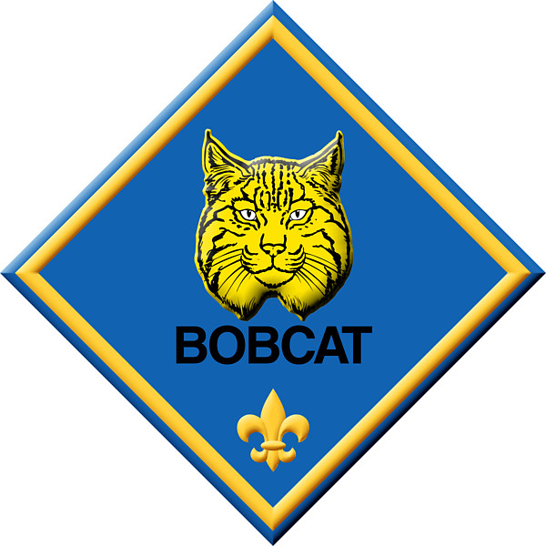 600x600 Cub Scouts Clip Art