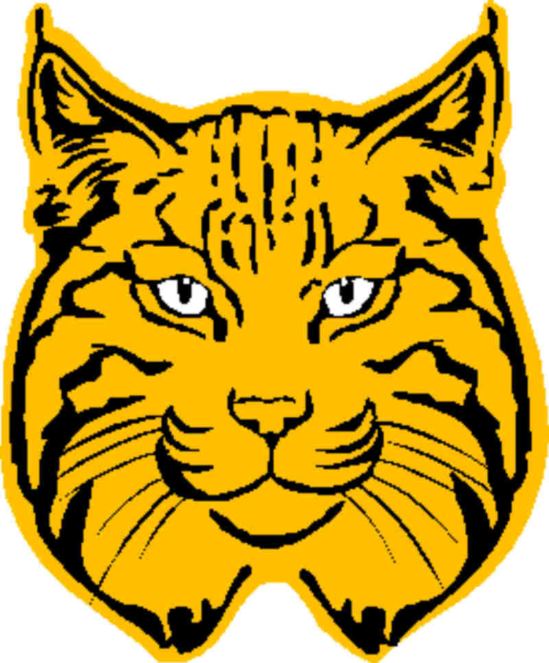 800x967 Cub Clipart Bobcat