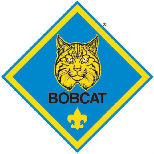 500x500 Cub Scout Pack 123 (Forty Fort, Pennsylvania) Homepage
