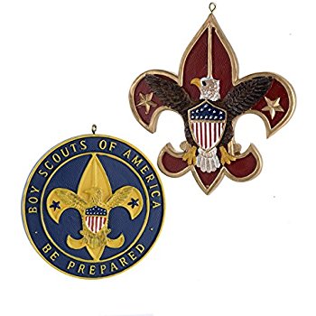 350x350 Flatback Resin Boy Scout Emblem Ornament