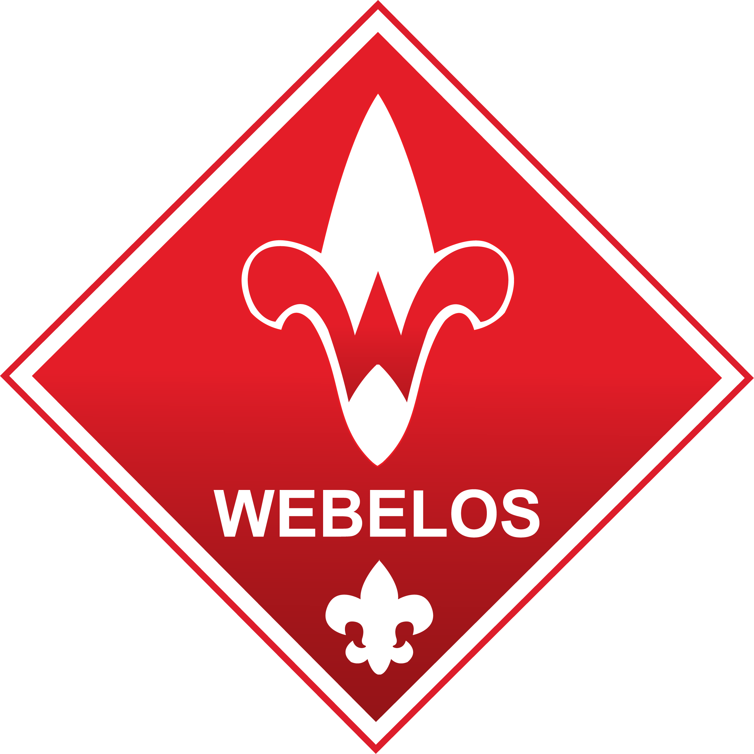 2413x2413 The Academy Of Racing Boy Scouts