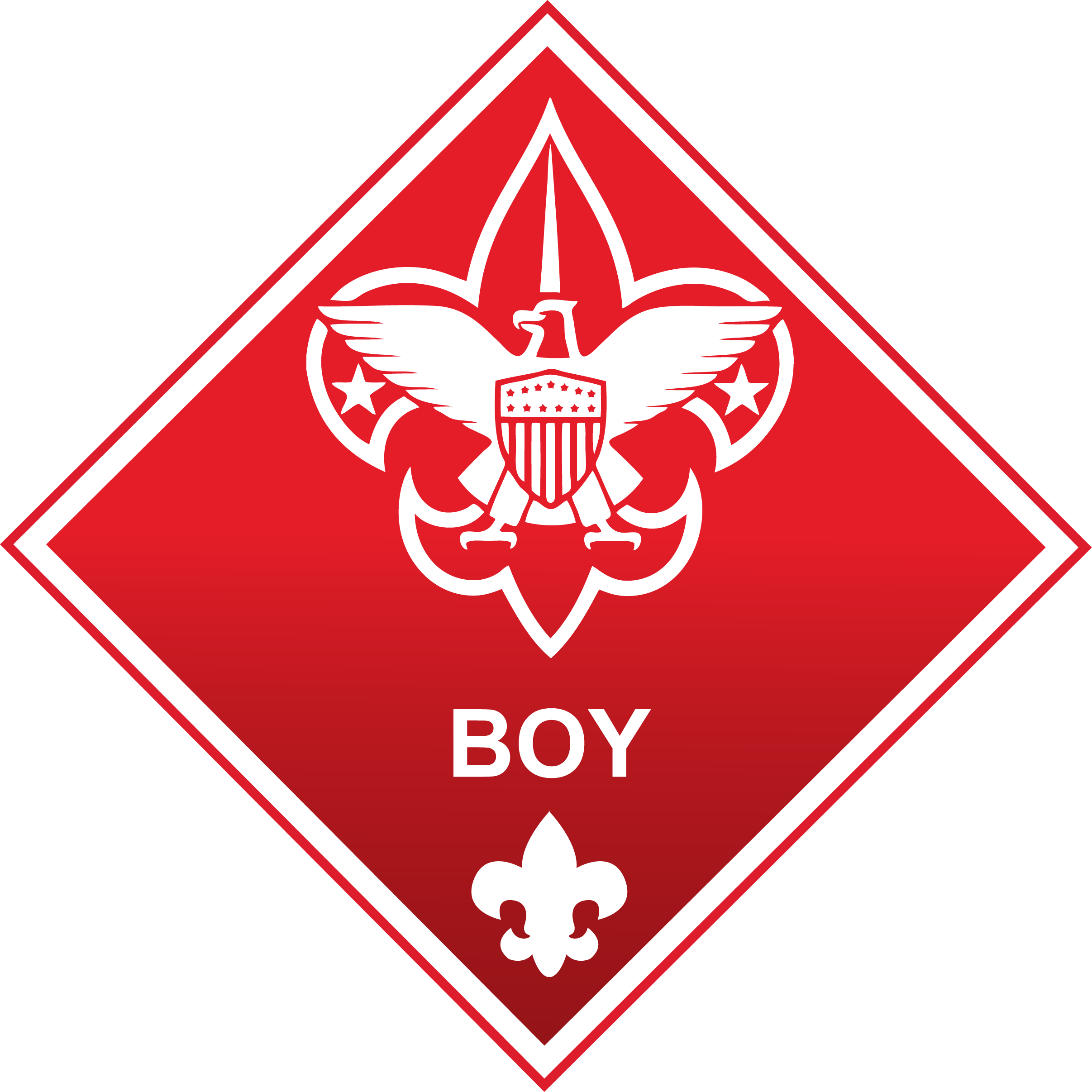 2413x2413 The Academy Of Racing Boy Scouts