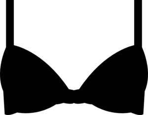 300x234 Bra Icon Clip Art