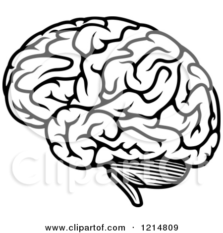 450x470 Clipart Of A Black And White Human Brain Royalty Free Vector Id