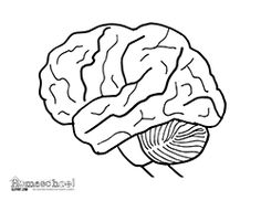 236x182 Free Science Themed Coloring Pages, Featuring Simple Black